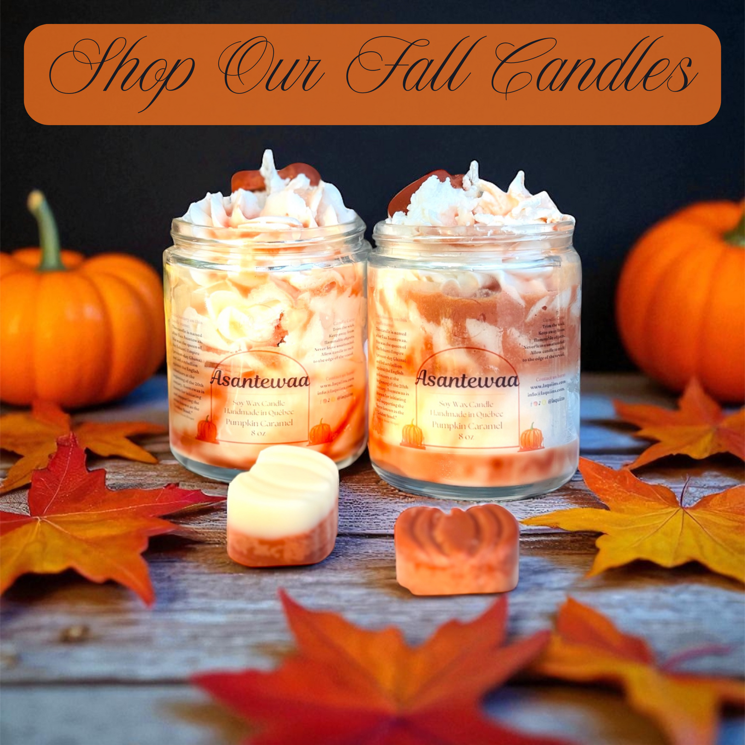 Fall/Autumn - Winter Collection